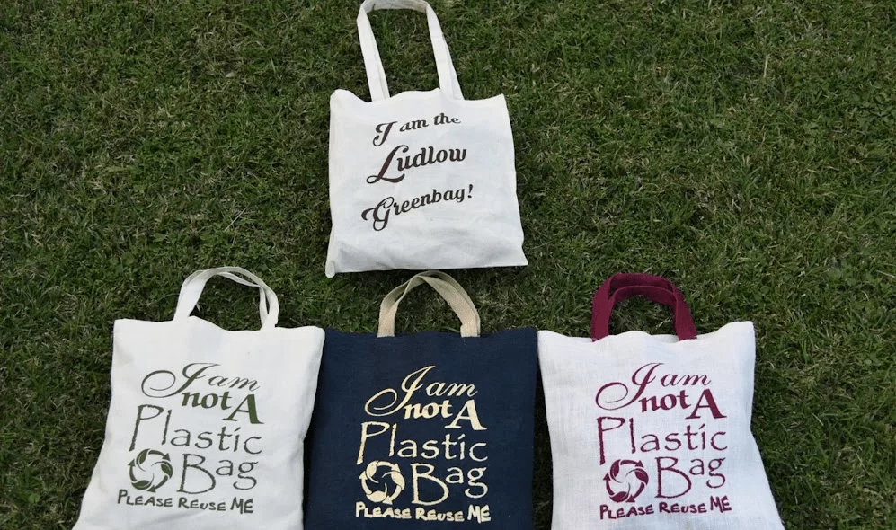 Why Eco-Friendly Cotton Bags are the Best Conventional Choices for the Environment?