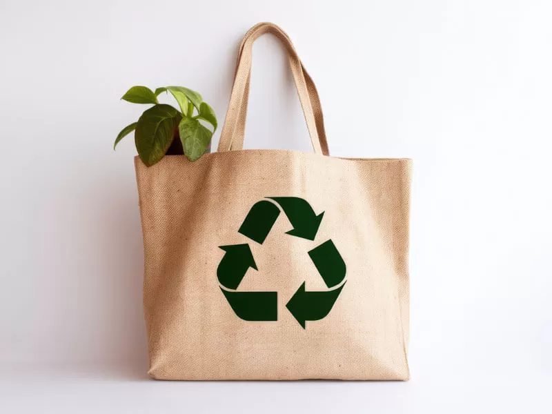 Reusable Grocery Bags