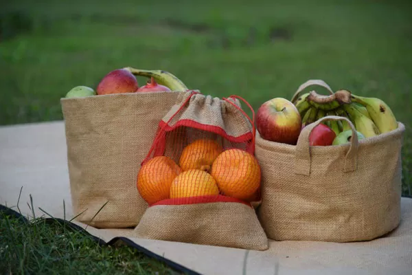 Reusable Grocery Bags