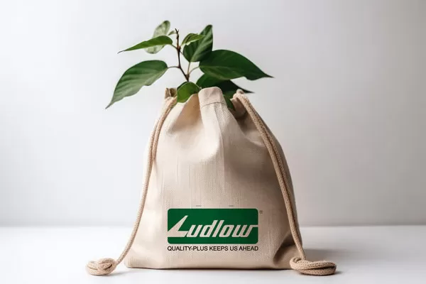 Reusable Grocery Bags