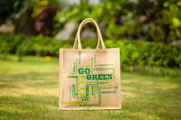 Reusable Grocery Bags